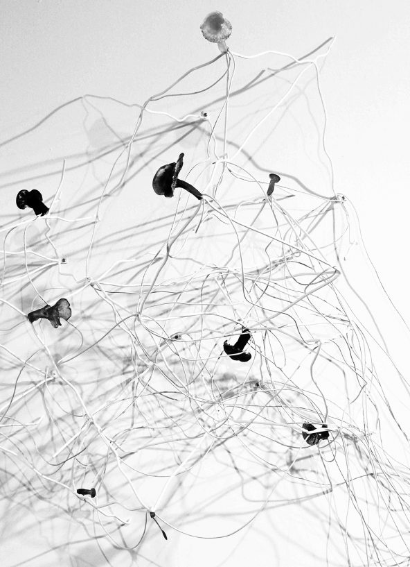 oeuvre amelie brindamour