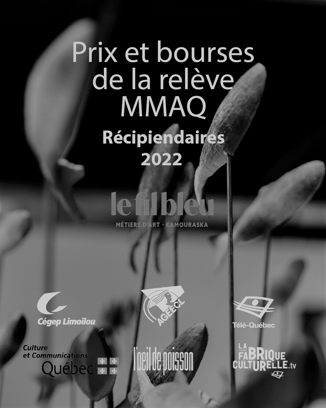 récipiendaires 2022 des prix et bourses de la relève MMAQ