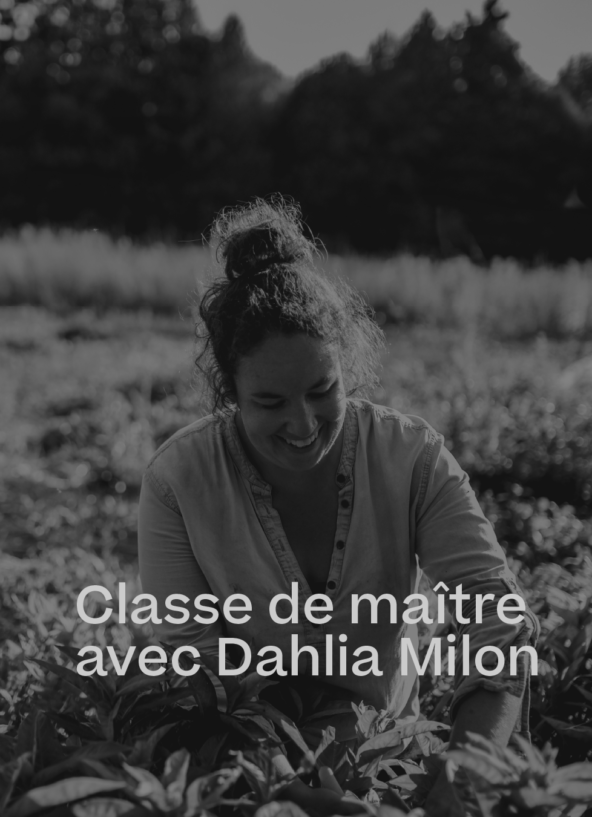 Classe de maître avec Dahlia Milon Teinture végétale